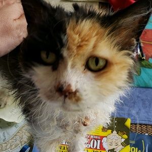 Meet your Posher, Alexandra